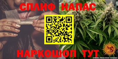 спиды Моздок