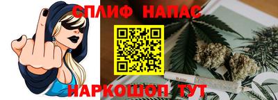 спиды Моздок
