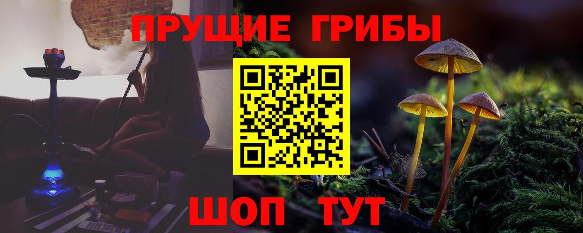 Галлюциногенные грибы прущие грибы Советский